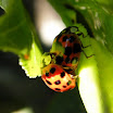 DSCF2105.JPG