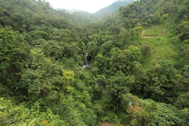 [IMG_2060%255B10%255D.jpg]