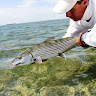 2008_fishing_36.jpg 2008_fishing_36.jpg