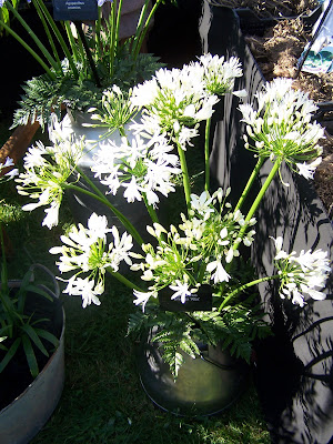 100_3054.JPG