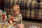 IMGP4324.jpg IMGP4324.jpg