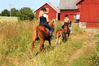 Uteritt 16 juli 2010