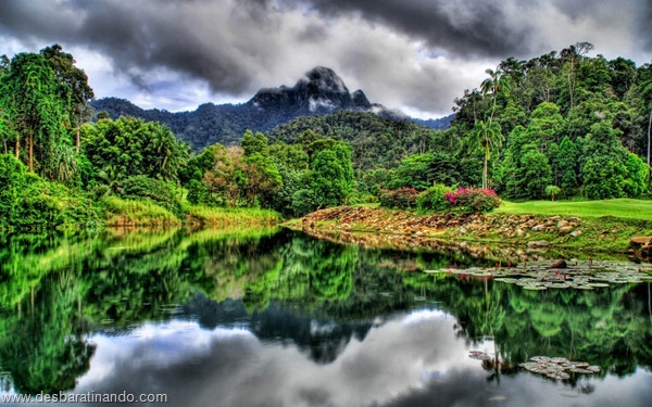 wallpapers-papei-de-parede-paisagem-natureza-nature-desbaratinando (33) wallpapers-papei-de-parede-paisagem-natureza-nature-desbaratinando (33)