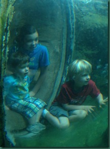 jake cadenmadison at zoo