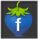 facebook-icon (1)