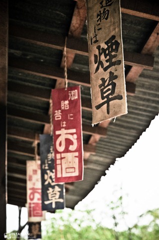 DSC_8233 DSC_8233