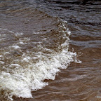 20100822_088_small.JPG