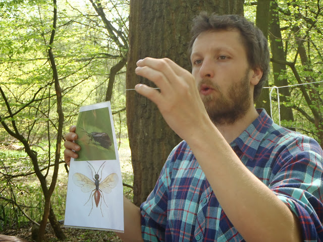 Za poznáním přírody lužní krajiny 12-13 (15).JPG