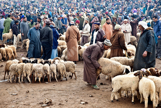 Prosta_2N_Dušan Miška-Na sejmu-Azrou_2343kM.jpg