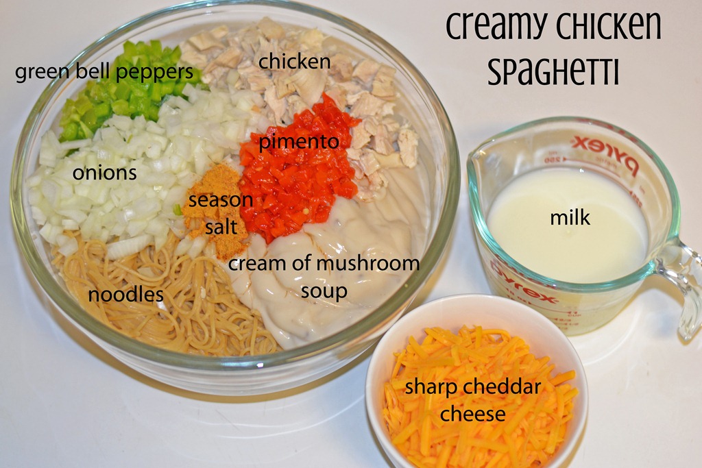 [Creamy%2520Chicken%2520Spaghetti_edited-1%255B5%255D.jpg]