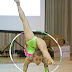 IMG_2870-%2528Nicky-Wojtania%2529.jpg