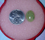 SD 03.jpg