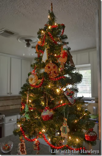 DSC_0338 DSC_0338