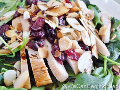 Feb 8 salad 002 Feb 8 salad 002