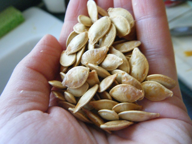[Picture%2520127%255B5%255D.jpg]