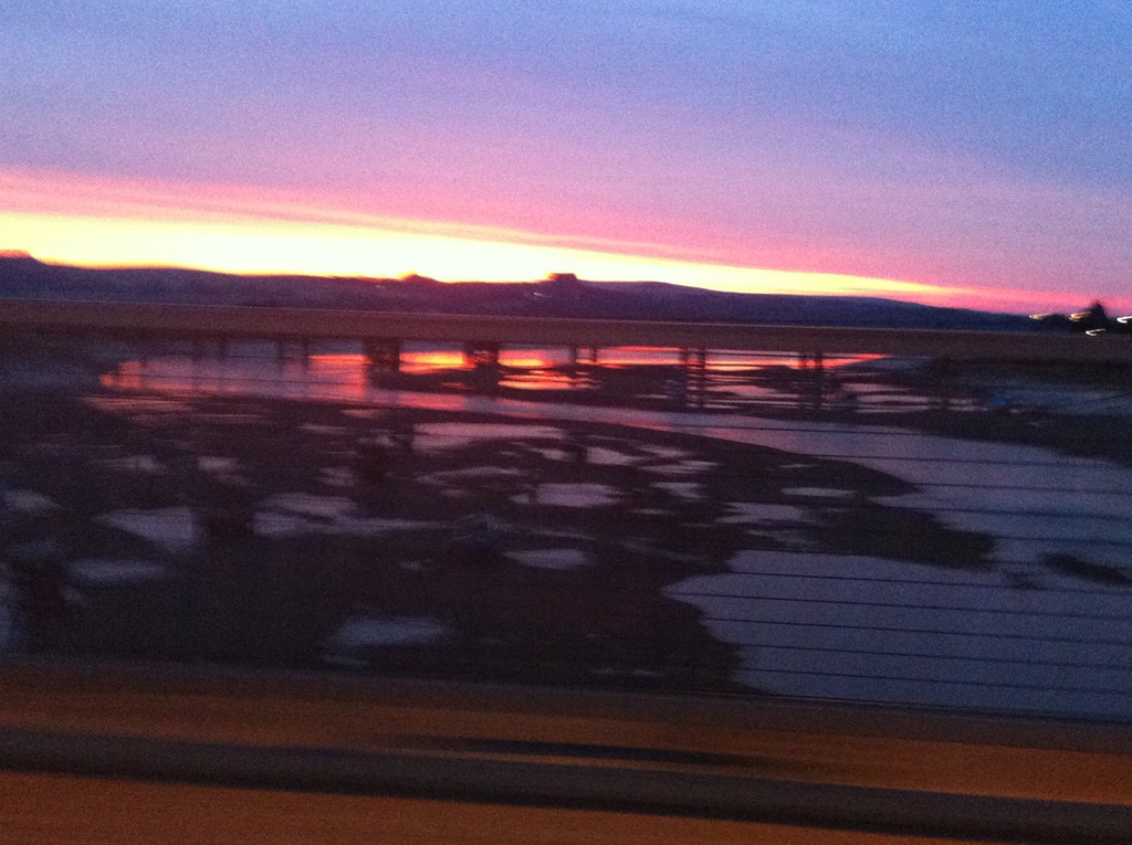 [IMG_0025%255B3%255D.jpg]