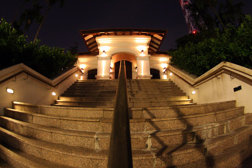 decide to take bus 80 decide to take bus 80