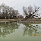 IMG_1533.JPG