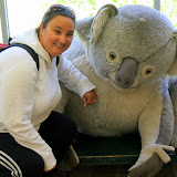 Cuddling With A Slightly Larger Koala - Phillip Island, Australia
