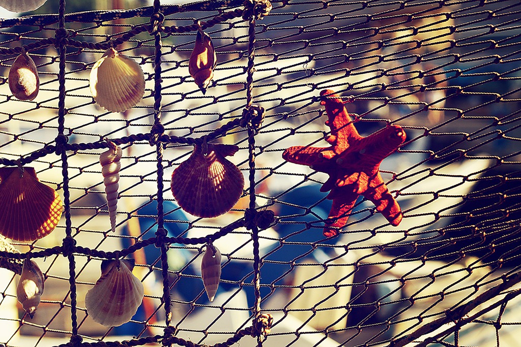 [Spaghetti%2520allo%2520scoglio%25206%255B3%255D.jpg]