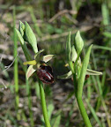 P1090006.JPG