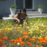 Garden - May 1, 2011