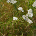 P1090373
