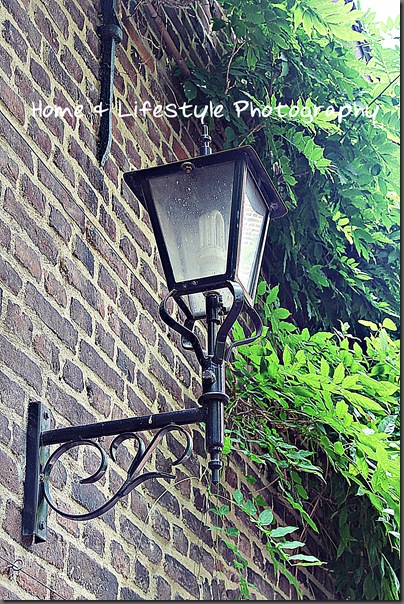 Home & Lifestyle IMG_1785a