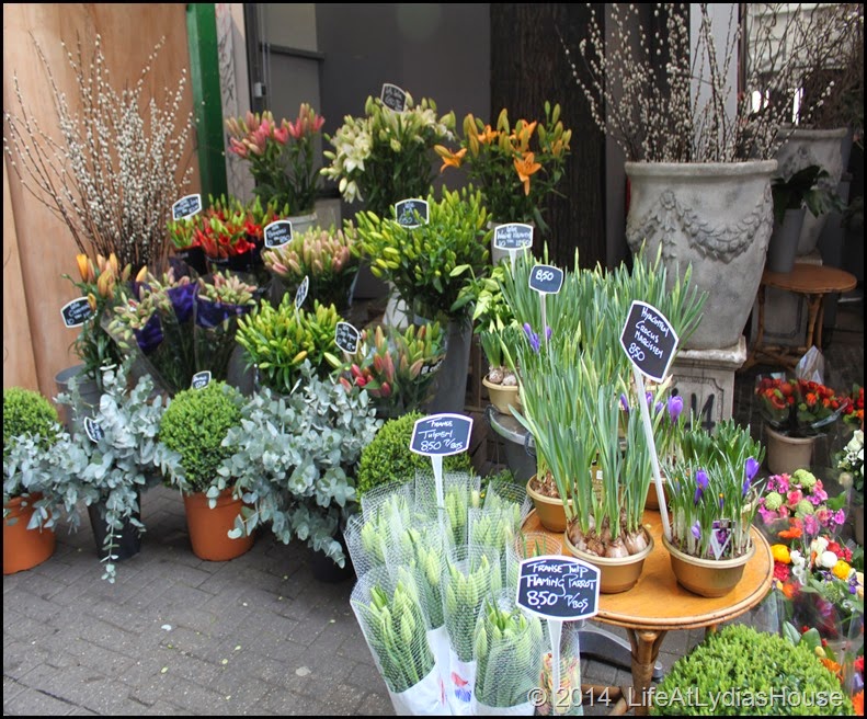 flower market 2
