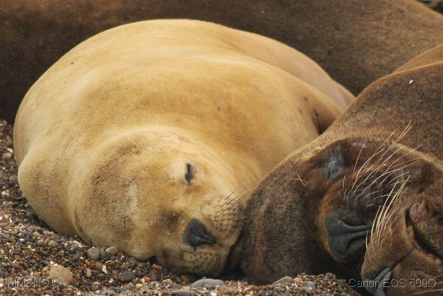 [IMG_7256%255B11%255D.jpg]