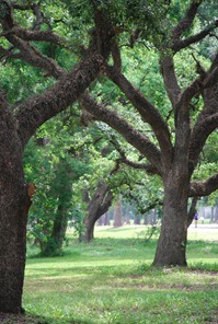 DSC_4284 DSC_4284