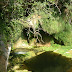 Sant Miquel del Fai