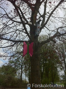 IMG_1723 IMG_1723