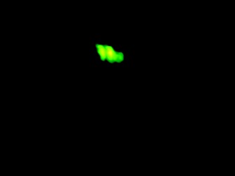 Glow worm Devil's Dingle Moth Night 080711 009