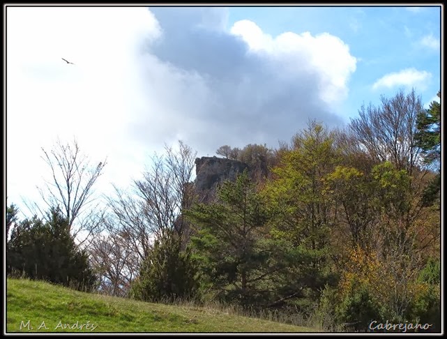 Arangoiti-Castellar 100