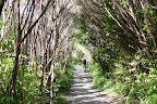 Gus near the end of the trail