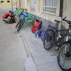IMGP2237.JPG