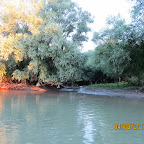 IMG_5763.JPG
