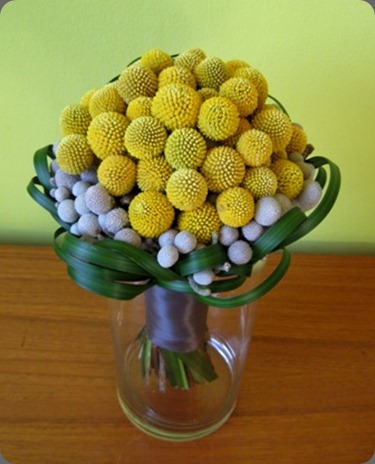 billy balls, silver brunia, and lily grass. pollen of chicago