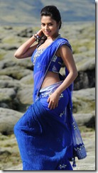 amala paul hot in naayak movie