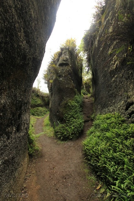 [IMG_1100%255B5%255D.jpg]