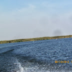 IMG_7979.JPG