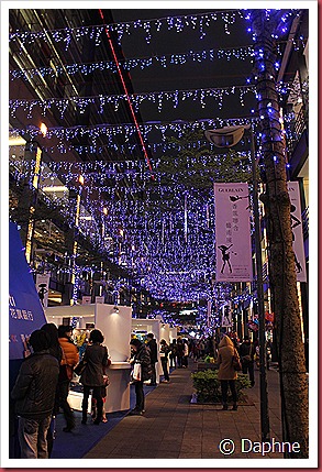 IMG_1572 IMG_1572