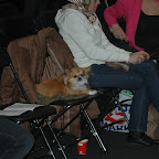 DSC_2631.JPG