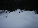 PA220059.JPG