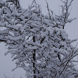 DSC02112.JPG