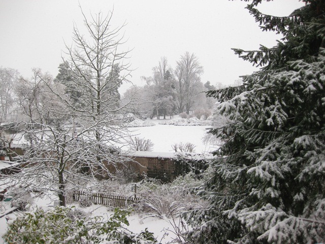 [snow%255B5%255D.jpg]