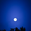 IMG_9811-1.jpg