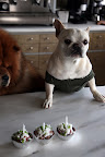 I think I hear Franny coming!  Quick, G.K., let's light these candles!