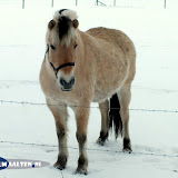 DSCF5603.jpg